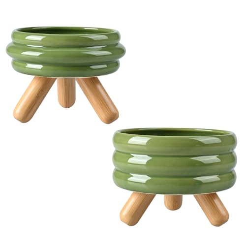SPUNKYJUNKY Erhöhtes Keramik-Katzennapf-Set mit Holzständer, erhöhter Futternapf für Futter und Wasser, rutschfestes Design, spülmaschinen-, mikrowellengeeignet, Futter- und Wassernapf, Grün, 1,7 von SPUNKYJUNKY