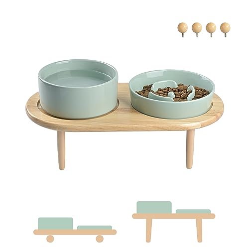SPUNKYJUNKY Keramik Hundenapf Set Anti Schling Napf mit Bambus Ständer für Katzen und Hunde (Hellgrün) von SPUNKYJUNKY