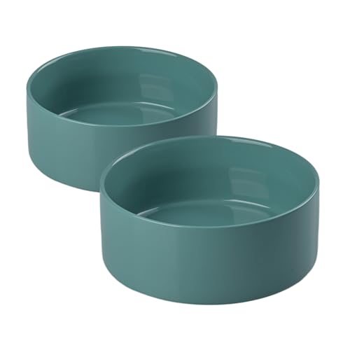 SPUNKYJUNKY Keramiknapf für Hunde und Katzen, 1,2 l, modern, niedlich, gewichteter Futternapf, Wassernapf als Ersatz, Hellgrün, 2 Stück von SPUNKYJUNKY