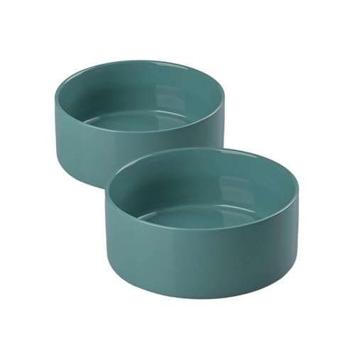 SPUNKYJUNKY Keramiknapf für Hunde und Katzen, modern, niedlich, beschwerter Futternapf, Wassernapf als Ersatz, Hellgrün, 2 Stück SPUNKYJUNKY Keramiknapf für Hunde und Katzen, modern, niedlich, beschwerter Futternapf, Wassernapf als Ersatz, Hellgrün, 2 Stück von SPUNKYJUNKY