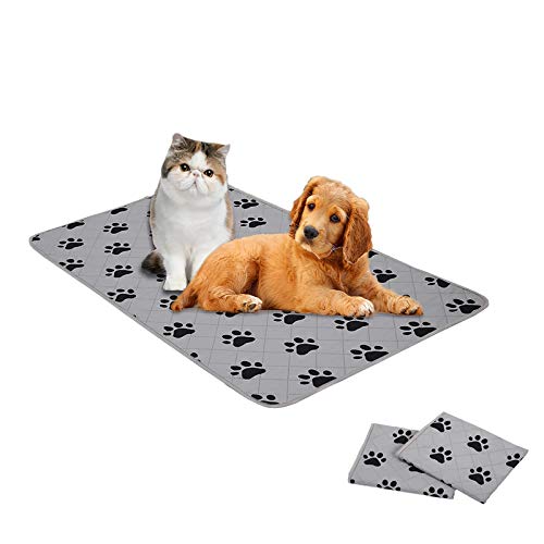 SPXTEX Dog Bed Cover Dog Crate Pads Dog Pee Pads Rugs Washable Dog Pads, Non Slip Puppy Pee Pads for Large Dogs, Waterproof Pet Pad Rug, Dog Whelping Training Pads for Dogs, 2 Pieces, 101,6 x 152,4 cm von SPXTEX