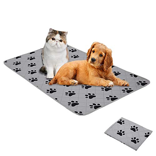 SPXTEX Dog Crate Pads Dog Pee Pads Rugs Washable Dog Pads, Non Slip Puppy Pee Pads for Small Dogs, Waterproof Pet Pad Rug, Dog Whelping Training Pads for Dogs, 1 Piece, 45,7 x 61 cm von SPXTEX