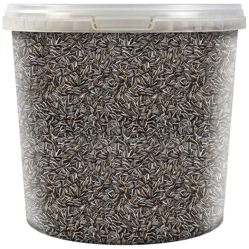 SQUAWK Premium gestreifte Sonnenblumenkerne - Nährstoffreiche Kerne für Wildvögel - Verbessert das Futtererlebnis für Vögel SQUAWK Premium gestreifte Sonnenblumenkerne - Nährstoffreiche Kerne für Wildvögel - Verbessert das Futtererlebnis für Vögel von SQUAWK