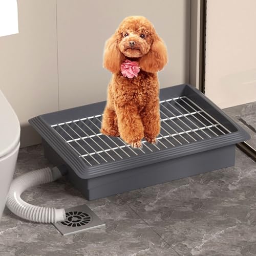 Hundetoilette, Corgi-Töpfchentrainingstoilette, Hundetöpfchentablett, leicht zu reinigen, abnehmbares Netz, wiederverwendbares Trainertablett for das Welpentraining von SQUZO