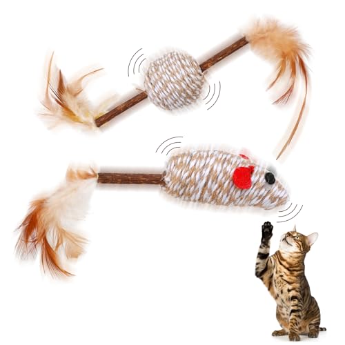 SRIZIAN Katzen Spielzeug, Feder Teaser Katze Spielzeug, Bälle mit Feder, Maus Kätzchen Spiel Sport Chase Training Ball von SRIZIAN