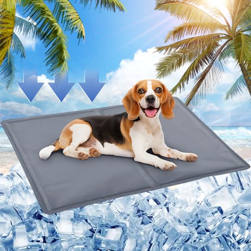 Kühlmatte Hund, 65x50cm Kühlmatte Katze,Kühldecke Hund mit Selbstkühlend Ungiftiges Gel,Kühlmatte für Hunde&Kühldecke Katze Wasserdicht Reißfest,Katzen Kühlmatte Perfekt für Heiße Sommertage(Grau) Kühlmatte Hund, 65x50cm Kühlmatte Katze,Kühldecke Hund mit Selbstkühlend Ungiftiges Gel,Kühlmatte für Hunde&Kühldecke Katze Wasserdicht Reißfest,Katzen Kühlmatte Perfekt für Heiße Sommertage(Grau) von SRJEQC