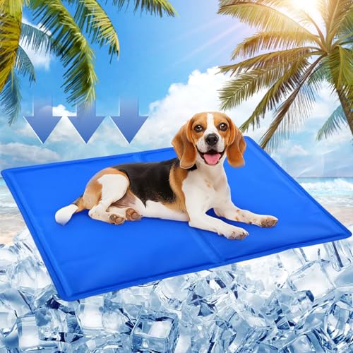 Kühlmatte Hund, 65x50cm Kühlmatte Katze,Kühldecke Hund mit Selbstkühlend Ungiftiges Gel,Kühlmatte für Hunde&Kühldecke Katze Wasserdicht Reißfest,Katzen Kühlmatte Perfekt für Heiße Sommertage(Blau) von SRJEQC