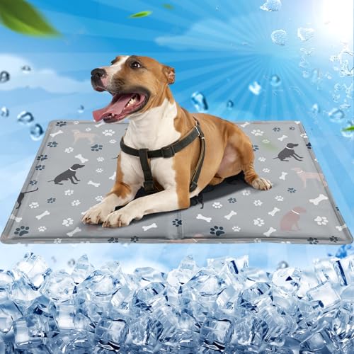 Kühlmatte Hund,Kühlmatte Katze 65x50cm,Kühldecke Hund mit Selbstkühlend Ungiftiges Gel,Kühlmatte für Hunde&Kühldecke Katze Wasserdicht Reißfest,Katzen Kühlmatte für Boden/Sofa/Hundehütte - Grau Kühlmatte Hund,Kühlmatte Katze 65x50cm,Kühldecke Hund mit Selbstkühlend Ungiftiges Gel,Kühlmatte für Hunde&Kühldecke Katze Wasserdicht Reißfest,Katzen Kühlmatte für Boden/Sofa/Hundehütte - Grau von SRJEQC