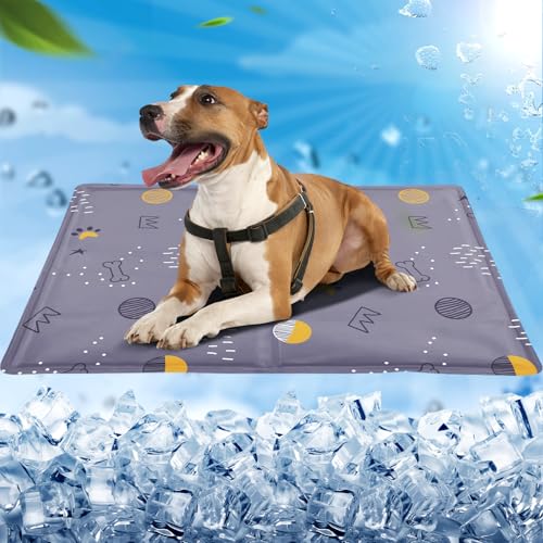 Kühlmatte Hund,Kühlmatte Katze 65x50cm,Kühldecke Hund mit Selbstkühlend Ungiftiges Gel,Kühlmatte für Hunde&Kühldecke Katze Wasserdicht Reißfest,Katzen Kühlmatte für Boden/Sofa/Hundehütte - Lila Kühlmatte Hund,Kühlmatte Katze 65x50cm,Kühldecke Hund mit Selbstkühlend Ungiftiges Gel,Kühlmatte für Hunde&Kühldecke Katze Wasserdicht Reißfest,Katzen Kühlmatte für Boden/Sofa/Hundehütte - Lila von SRJEQC