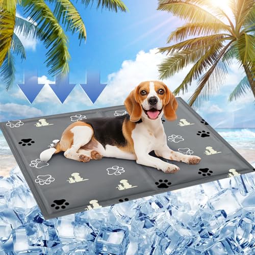 SRJEQC Kühlmatte Hund, 65x50cm Kühlmatte Katze,Kühldecke Hund mit Selbstkühlend Ungiftiges Gel,Kühlmatte für Hunde&Kühldecke Katze Wasserdicht Reißfest,Katzen Kühlmatte Perfekt für Heiße Sommertage SRJEQC Kühlmatte Hund, 65x50cm Kühlmatte Katze,Kühldecke Hund mit Selbstkühlend Ungiftiges Gel,Kühlmatte für Hunde&Kühldecke Katze Wasserdicht Reißfest,Katzen Kühlmatte Perfekt für Heiße Sommertage von SRJEQC