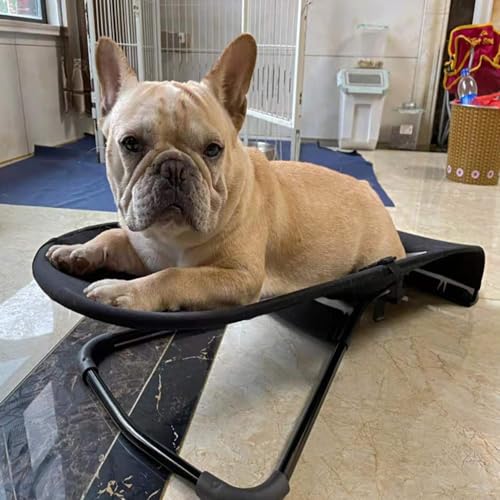 Hundeschaukelstuhl, tragbare Haustierhängematte, kleines Hundehaustierbett, tragbares erhöhtes Katzenbett, Außenschaukel für kleines Haustierschaukelbett Hundeschaukelstuhl, tragbare Haustierhängematte, kleines Hundehaustierbett, tragbares erhöhtes Katzenbett, Außenschaukel für kleines Haustierschaukelbett von SRMNFJCK