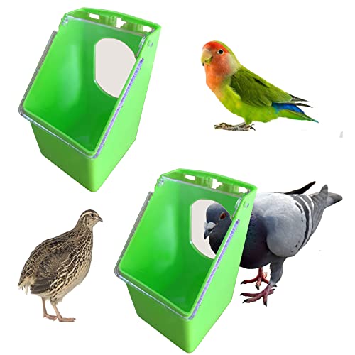 Futterspender für Tauben, 2 Stück, Wachtel, Vogel, Huhn, Wasserspender, Trinkflasche mit 2 Löchern, Haustiernäpfe und Futterspender, Futter essen von SRRPSPIGEON