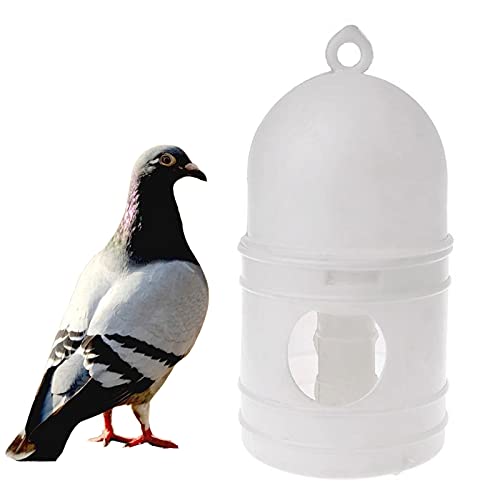 SRRPSPIGEON Vogel-Wassertrinker Taube Wasserspender Trinker 1L Wachtel Wasser Automatische Futterspender Wasserspender Taube Trinker von SRRPSPIGEON