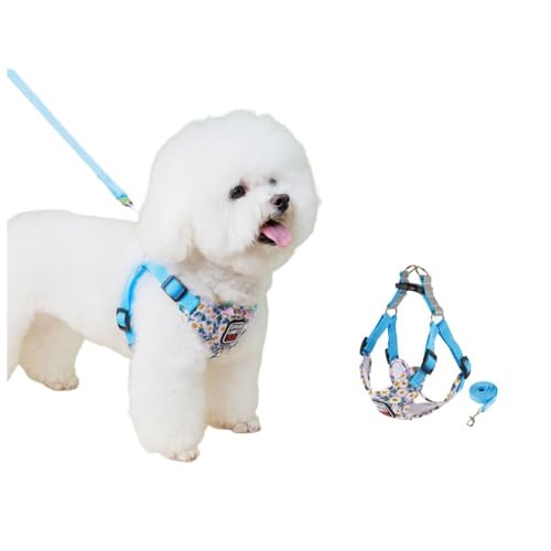 SSDH Hundegeschirr für Kleine und Mittelgroße Hunde Welpengeschirr mit Leine Superweiches Atmungsaktives Mesh Reflektierend bei Nacht Geeignet für Tägliche Spaziergänge (Blau, L) von SSDH