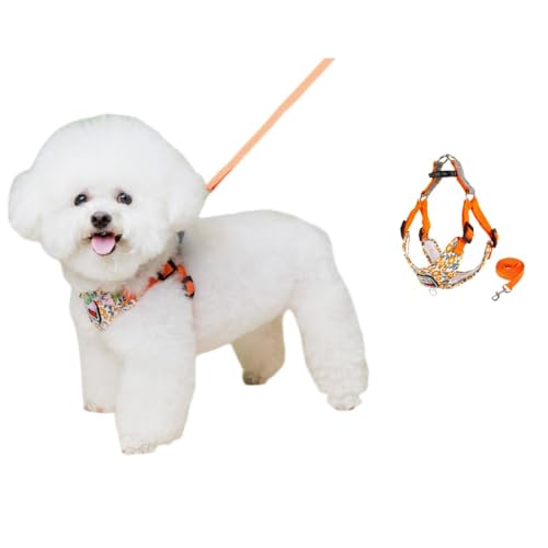 SSDH Hundegeschirr für Kleine und Mittelgroße Hunde Welpengeschirr mit Leine Superweiches Atmungsaktives Mesh Reflektierend bei Nacht Geeignet für Tägliche Spaziergänge (Orange, M) von SSDH