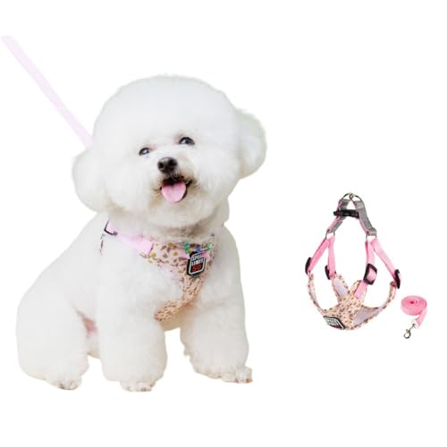 SSDH Hundegeschirr für Kleine und Mittelgroße Hunde Welpengeschirr mit Leine Superweiches Atmungsaktives Mesh Reflektierend bei Nacht Geeignet für Tägliche Spaziergänge (Pink, S) von SSDH