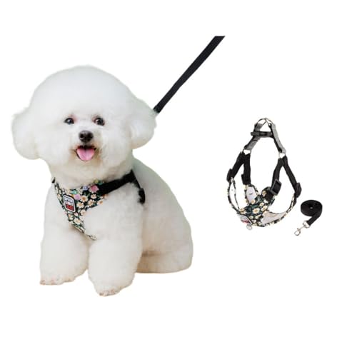 SSDH Hundegeschirr für Kleine und Mittelgroße Hunde Welpengeschirr mit Leine Superweiches Atmungsaktives Mesh Reflektierend bei Nacht Geeignet für Tägliche Spaziergänge (Schwarz, XL) von SSDH