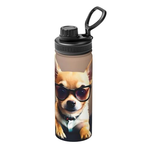 Chihuahua Hundebrille, 530 ml, isolierte Sportflasche für Outdoor-Aktivitäten, Ihr idealer Begleiter, hydratisiert zu bleiben von SSIMOO