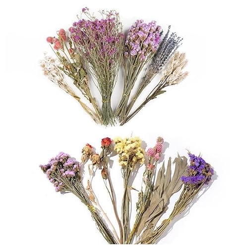Hamster Dried Flower Bedding - Natural Ear of Grain Flower - Hamster Bedding Flowers - Hamster Floral Bedding Decor Sprays Set for Hamsters, Flower Bedding Habitat Decor, Hamster Accessories (01) von SSJDDS