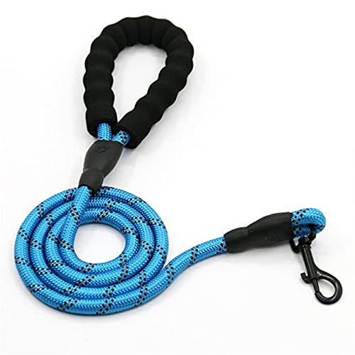 Leuchtende 1,5 M Nylon Sicherheitsschnalle Dog Pet Leash-Blue, 1,0 cm x 150 cm von SSJIA