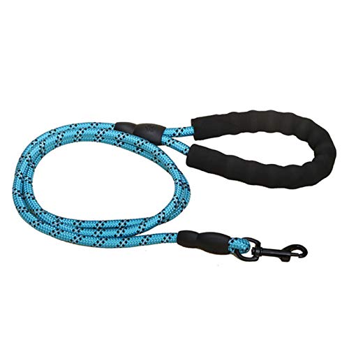 Nylon Training Hundeleine Gurtband Rückruf Long Lead Line Pet Traction Rope-Blue von SSJIA
