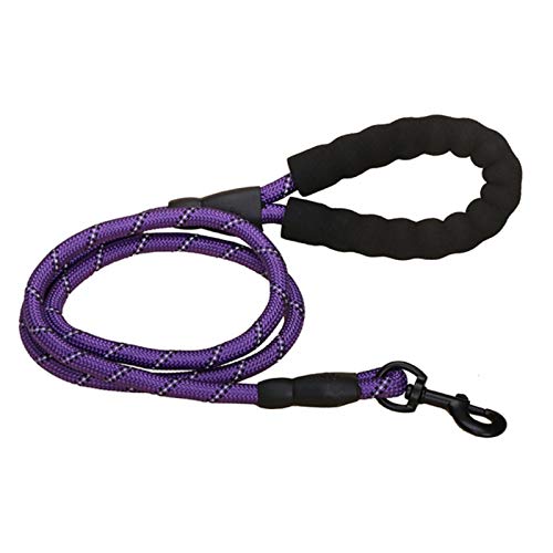 Nylon Training Hundeleine Gurtband Rückruf Long Lead Line Pet Traction Rope-Purple von SSJIA