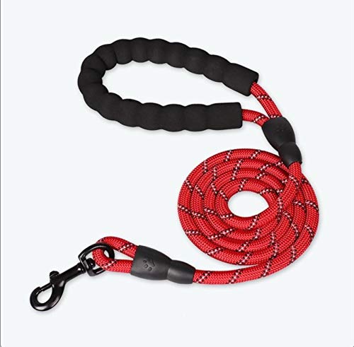 Nylon Training Hundeleine Gurtband Rückruf Long Lead Line Pet Traction Rope-Red von SSJIA