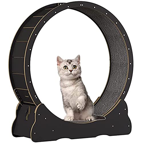 Katzenlaufrad,Katzenspielzeug, Kätzchenspielzeug, Indoor-Katzenspielzeug mit Schloss, Winziger Spalt Und Leise Riemenscheiben Katzenrad, Katzenlaufband Haustier Spielzeug,Black-M Katzenlaufrad,Katzenspielzeug, Kätzchenspielzeug, Indoor-Katzenspielzeug mit Schloss, Winziger Spalt Und Leise Riemenscheiben Katzenrad, Katzenlaufband Haustier Spielzeug,Black-M von SSQUZA