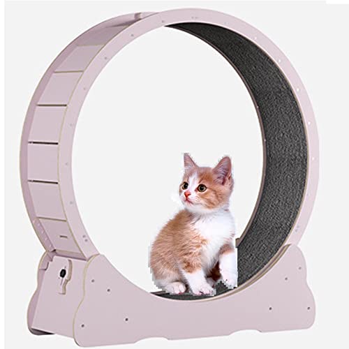 Katzenlaufrad,Katzenspielzeug, Kätzchenspielzeug, Indoor-Katzenspielzeug mit Schloss, Winziger Spalt Und Leise Riemenscheiben Katzenrad, Katzenlaufband Haustier Spielzeug,Pink-M Katzenlaufrad,Katzenspielzeug, Kätzchenspielzeug, Indoor-Katzenspielzeug mit Schloss, Winziger Spalt Und Leise Riemenscheiben Katzenrad, Katzenlaufband Haustier Spielzeug,Pink-M von SSQUZA