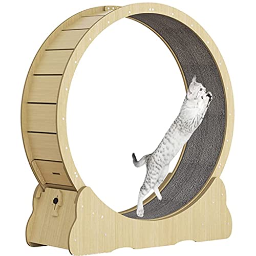 Katzenlaufrad,Katzenspielzeug, Kätzchenspielzeug, Indoor-Katzenspielzeug mit Schloss, Winziger Spalt Und Leise Riemenscheiben Katzenrad, Katzenlaufband Haustier Spielzeug,Woodcolor-M Katzenlaufrad,Katzenspielzeug, Kätzchenspielzeug, Indoor-Katzenspielzeug mit Schloss, Winziger Spalt Und Leise Riemenscheiben Katzenrad, Katzenlaufband Haustier Spielzeug,Woodcolor-M von SSQUZA
