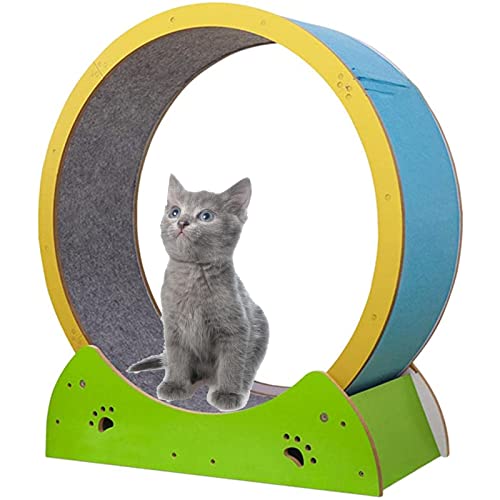 SSQUZA Katzenlaufrad, Ruhiges Katzenrad-Laufband-Kätzchenspielzeug, Haustier Katze Laufband Riesenrad Läuft Reibungslos Frei, Kratzbrett für Kleine, Mittelgroße Katzen für Den Innenbereich SSQUZA Katzenlaufrad, Ruhiges Katzenrad-Laufband-Kätzchenspielzeug, Haustier Katze Laufband Riesenrad Läuft Reibungslos Frei, Kratzbrett für Kleine, Mittelgroße Katzen für Den Innenbereich von SSQUZA