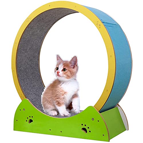 SSQUZA katzenlaufrad, Laufrad für Katzen, Laufband für Katzen, Klettergerüst für Katzen, Gerät zum Abnehmen für Katzen mit Teppichlaufbahn, für Katzen Aller Größen SSQUZA katzenlaufrad, Laufrad für Katzen, Laufband für Katzen, Klettergerüst für Katzen, Gerät zum Abnehmen für Katzen mit Teppichlaufbahn, für Katzen Aller Größen von SSQUZA