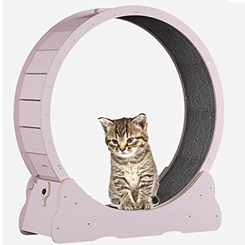 katzenlaufrad Hölzernes Katzenübungs-Riesenrad, Haustierfreundliches Katzenlaufband, Indoor-Katzenlaufrad, Winziger Spalt und Leise Riemenscheiben,Pink-XL von SSQUZA