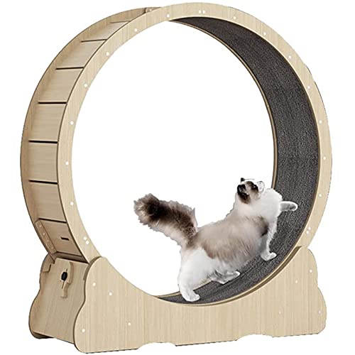 katzenlaufrad Hölzernes Katzenübungs-Riesenrad, Haustierfreundliches Katzenlaufband, Indoor-Katzenlaufrad, Winziger Spalt und Leise Riemenscheiben,Woodcolor-S von SSQUZA