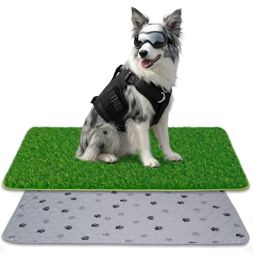 SSRIVER 2-in-1 Kunstgras- und wiederverwendbares Welpen-Unterschlagsatz - 60x90 cm Kunstgras-Entleerungspad für Hunde - Idealer Hundetrainingsplatz für Innen- und Außenbereiche SSRIVER 2-in-1 Kunstgras- und wiederverwendbares Welpen-Unterschlagsatz - 60x90 cm Kunstgras-Entleerungspad für Hunde - Idealer Hundetrainingsplatz für Innen- und Außenbereiche von SSRIVER