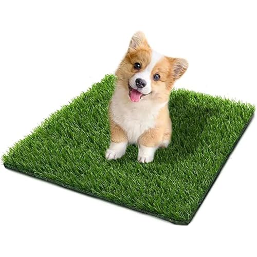 SSRIVER 50*60CM Hundeklo für Zuhause & Hundetoilette Balkon Welpen Training Hundetoilette Ersatzrasen mit Kunstrasen Outdoor Ideal für Wohnung & Balkon SSRIVER 50*60CM Hundeklo für Zuhause & Hundetoilette Balkon Welpen Training Hundetoilette Ersatzrasen mit Kunstrasen Outdoor Ideal für Wohnung & Balkon von SSRIVER