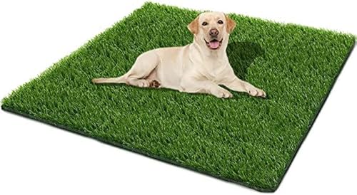 SSRIVER 80*130CM künstlicher Grasteppich Hunde Rasenteppich für Haustiere Wiederverwendbare Hundetoiletten aus Kunstrasen für das Training Ihres Welpen Geeignet für den Innen- und Außenbereich SSRIVER 80*130CM künstlicher Grasteppich Hunde Rasenteppich für Haustiere Wiederverwendbare Hundetoiletten aus Kunstrasen für das Training Ihres Welpen Geeignet für den Innen- und Außenbereich von SSRIVER