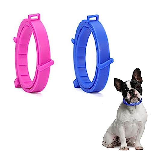 SSyang Leuchtendes Präventionshalsband, 2 Stücke Zeckenhalsband für Hunde und Katzen Gegen Parasiten mit bis 8-Monatigen Schutz,Fluoreszierendes Halsband Universell Jede Größe Verstellbar(Rosa+Blau) von SSyang