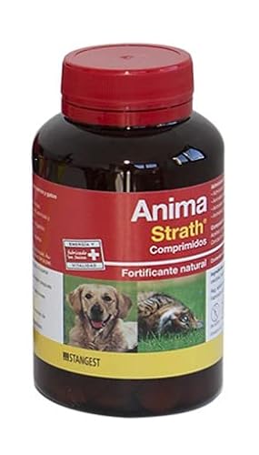 Anima Strath 240CPD Anima Strath 240CPD von STANGEST