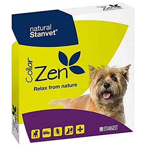 STANGEST Halsband Zen Hunde von STANGEST