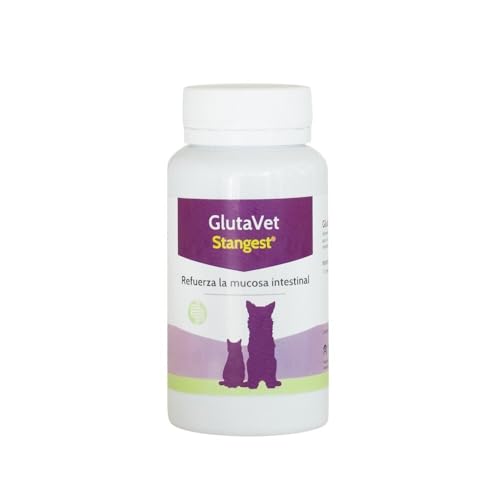 Stangest Glutavet 60Cpd 500g Stangest Glutavet 60Cpd 500g von STANGEST