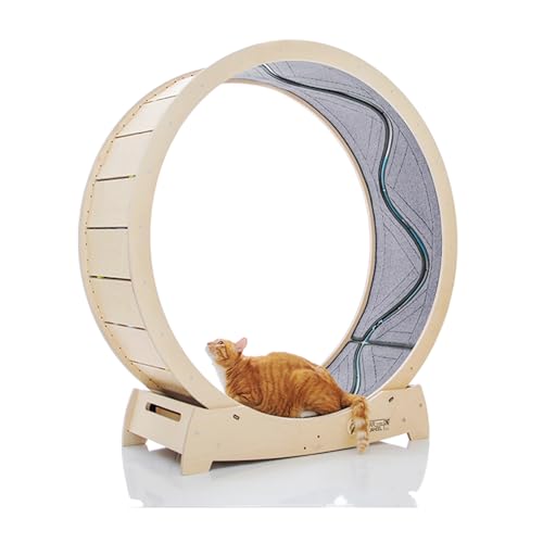 STAR CATWHEEL Katzenlaufband, Laufrad zum Laufen, Drehen, Kratzen und Klettern für Hauskatzen, hochwertiges Birkenholz, umweltfreundlich, bewegliche Fische, breite Laufbahn, 41,7 Zoll L-Größe von STAR CATWHEEL