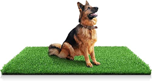 STARROAD-TIM 100 x 150 cm Wiederverwendbare Hundetrainingspads Kunstrasen Teppich Rasen für Hunde Indoor Outdoor Kunstrasen für Hunde Töpfchen Trainingsbereich Terrasse Rasen Dekoration STARROAD-TIM 100 x 150 cm Wiederverwendbare Hundetrainingspads Kunstrasen Teppich Rasen für Hunde Indoor Outdoor Kunstrasen für Hunde Töpfchen Trainingsbereich Terrasse Rasen Dekoration von STARROAD-TIM