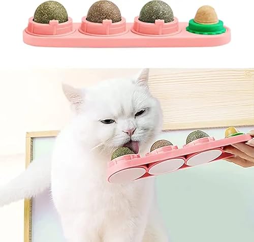 STARROAD-TIM Katzenminze Wandball Katzenminze Spielzeug für Katzen Zähne sauber essbar rotierende Katzenminze Bälle gesunde natürliche Katzenleckerli STARROAD-TIM Katzenminze Wandball Katzenminze Spielzeug für Katzen Zähne sauber essbar rotierende Katzenminze Bälle gesunde natürliche Katzenleckerli von STARROAD-TIM