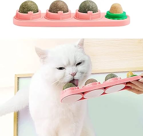 STARROAD-TIM Katzenminze Wandball Katzenminze Spielzeug für Katzen Zähne sauber essbar rotierende Katzenminze Bälle gesunde natürliche Katzenleckerli von STARROAD-TIM