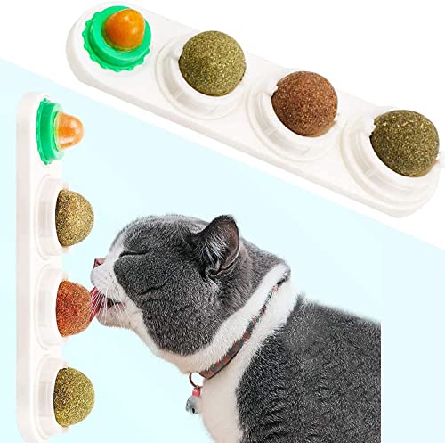 STARROAD-TIM Katzenminze Wandball Katzenminze Spielzeug für Katzen Zähne sauber essbar rotierende Katzenminze Bälle gesunde natürliche Katzenleckerli (Weiß) STARROAD-TIM Katzenminze Wandball Katzenminze Spielzeug für Katzen Zähne sauber essbar rotierende Katzenminze Bälle gesunde natürliche Katzenleckerli (Weiß) von STARROAD-TIM