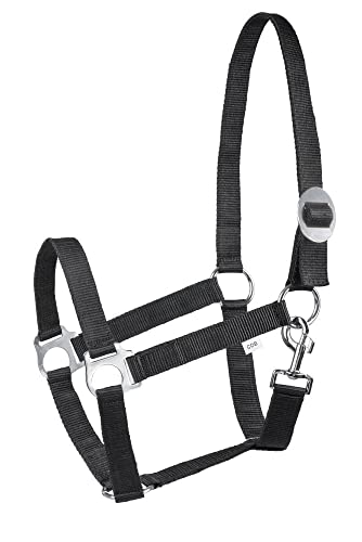 Halfter für Pferde Start Economic Pferdehalfter - Verstellbares Halfter Pferd, Stallhalfter Pony, Vollblut, Warmblut (Schwarz, Full) von START ENJOY THE RIDE