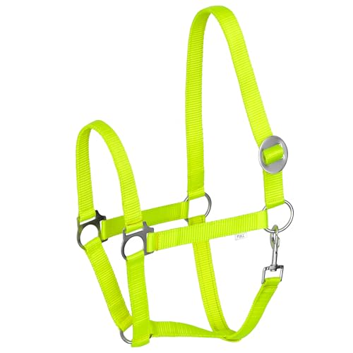 Start Economic Halfter für Pferde – Verstellbares Nylon-Stallhalfter mit Karabiner – Robust & Komfortabel – Weiches, schmutzabweisendes Material (Gelb, Full (Warmblut)) von START ENJOY THE RIDE