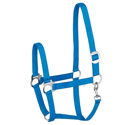Start Economic Halfter für Pferde – Verstellbares Nylon-Stallhalfter mit Karabiner – Robust & Komfortabel – Weiches, schmutzabweisendes Material (Himmelblau, Full (Warmblut)) von START ENJOY THE RIDE