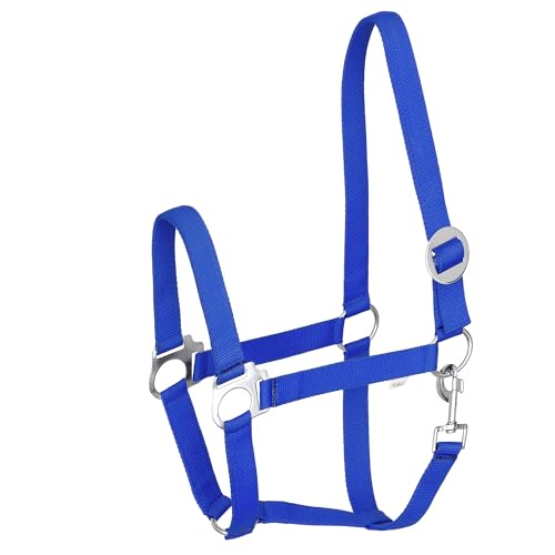 Start Economic Halfter für Pferde – Verstellbares Nylon-Stallhalfter mit Karabiner – Robust & Komfortabel – Weiches, schmutzabweisendes Material (Königsblau, Cob (Vollblut)) von START ENJOY THE RIDE